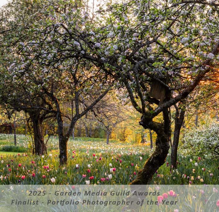 Manuela Göhner Garden Media Guild Awards