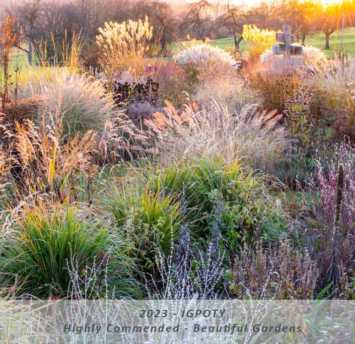Manuela Göhner IGPOTY Highly Commended – Category: Beautiful Gardens