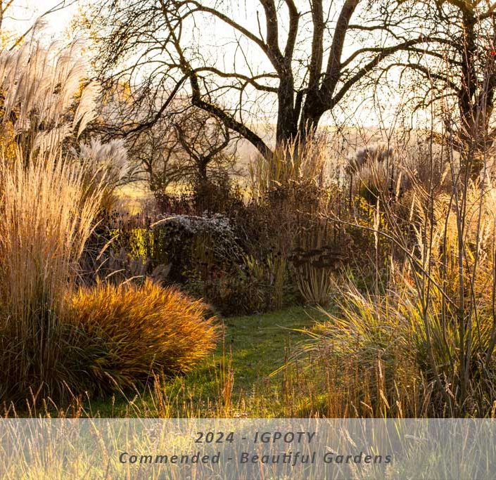 Manuela Göhner IGPOTY Commended – Category: Beautiful Gardens