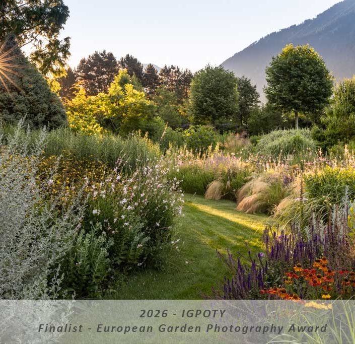 Manuela Göhner IGPOTY Award