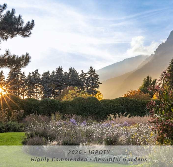 Manuela Göhner IGPOTY Award