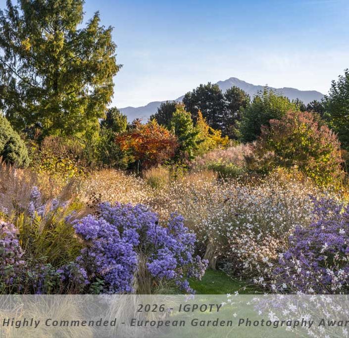 Manuela Göhner IGPOTY Award