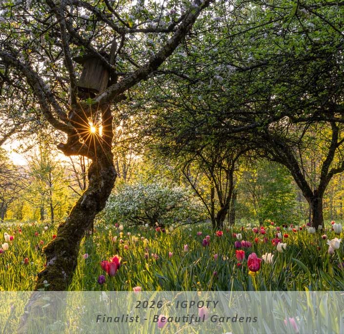 Manuela Göhner IGPOTY Award