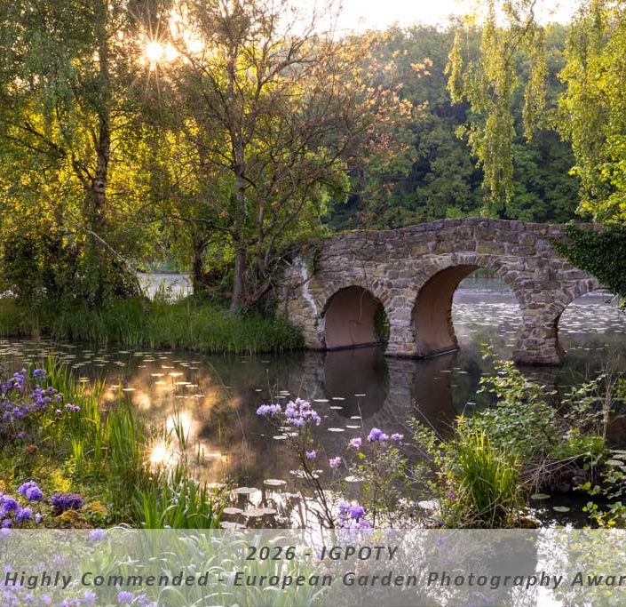 Manuela Göhner IGPOTY Award