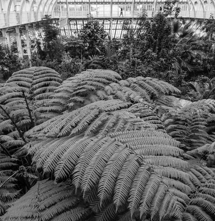 Manuela Göhner IGPOTY Award